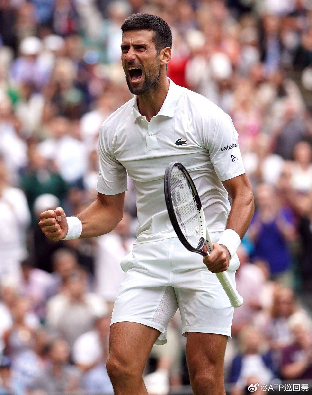 球迷而言 球迷而言