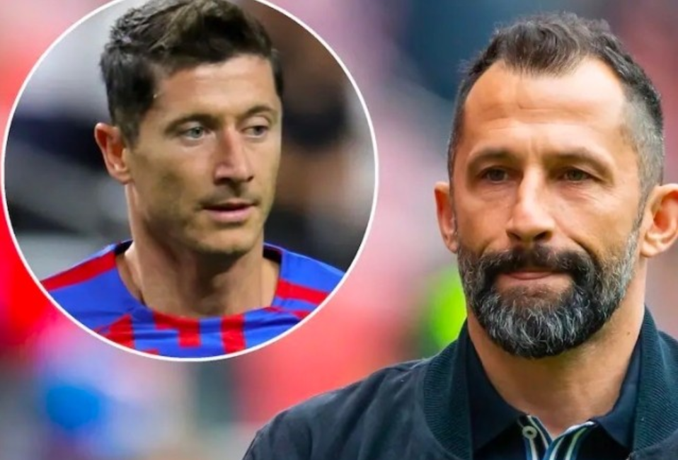 中国棒球联 中国棒球联